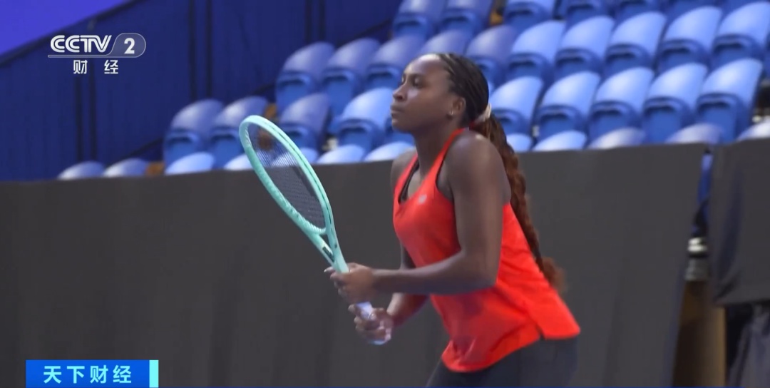 顶级羽毛球 顶级羽毛球