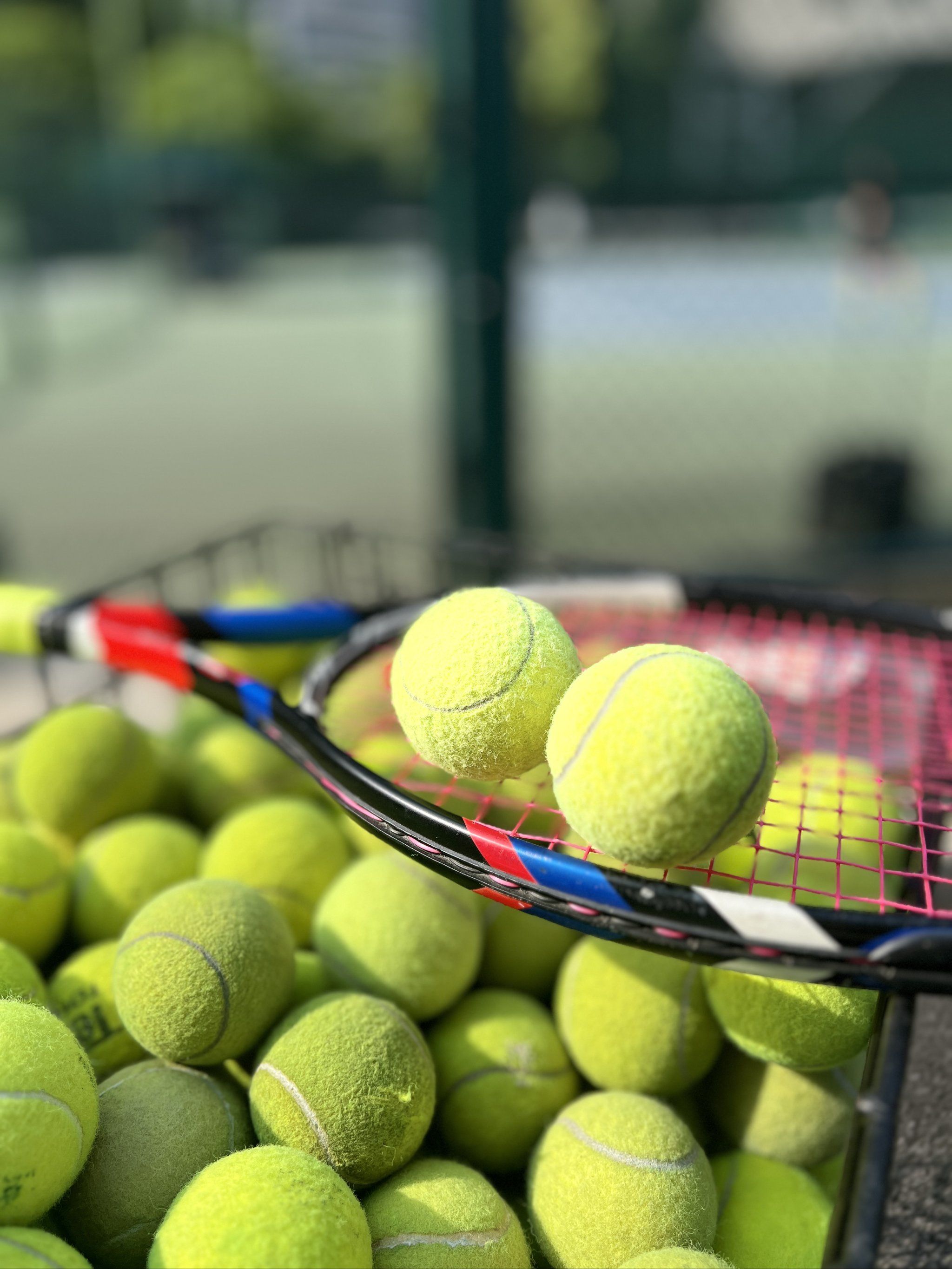 更关系到未 更关系到未