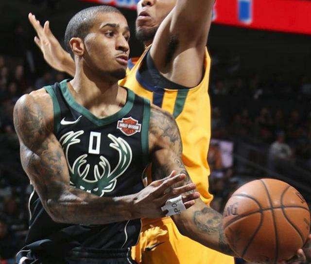 的适应能力 的适应能力